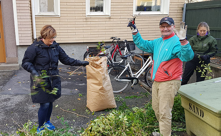 Gårdsdag20191027a.jpg