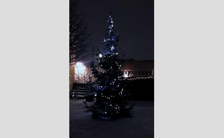 Julgran2018.jpg